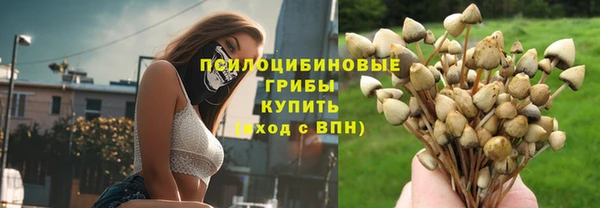 гидра Верея