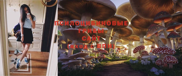 прущие крисы Вязники