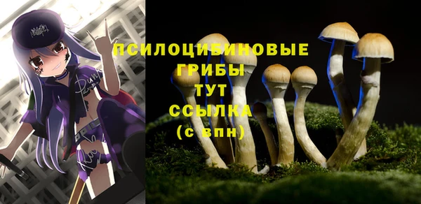 скорость Верхний Тагил