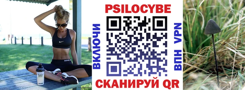 Галлюциногенные грибы GOLDEN TEACHER  OMG tor  Донецк 