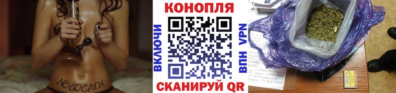 купить наркотики цена  Донецк  Бошки марихуана SATIVA & INDICA 